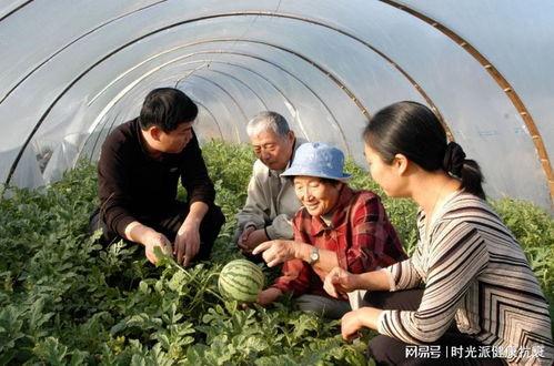 牛屯吃瓜视频,揭秘娱乐圈幕后故事